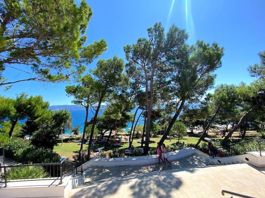 Studio Vesna With A Terrace And Sea View Rabac Bagian luar foto